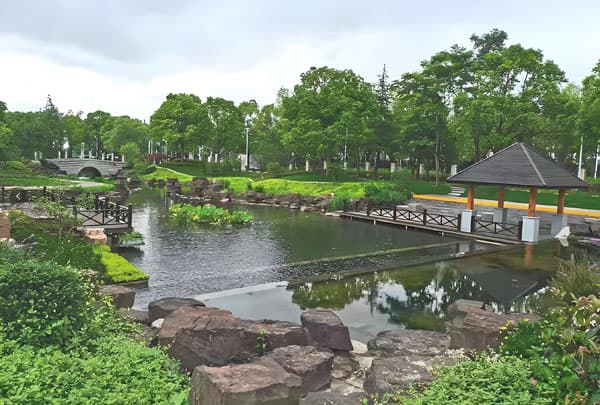 如何将城市景观湖死水处理成清澈见底的水质？