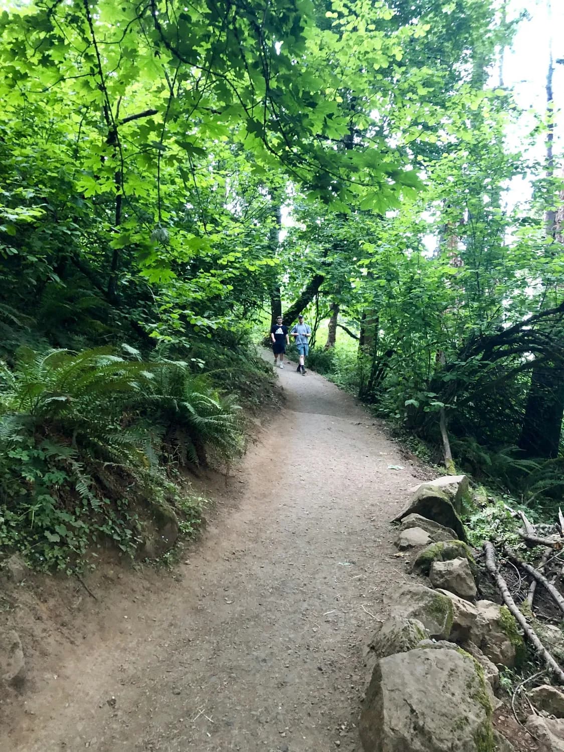 青城山打卡：绝美自然景观不容错过！