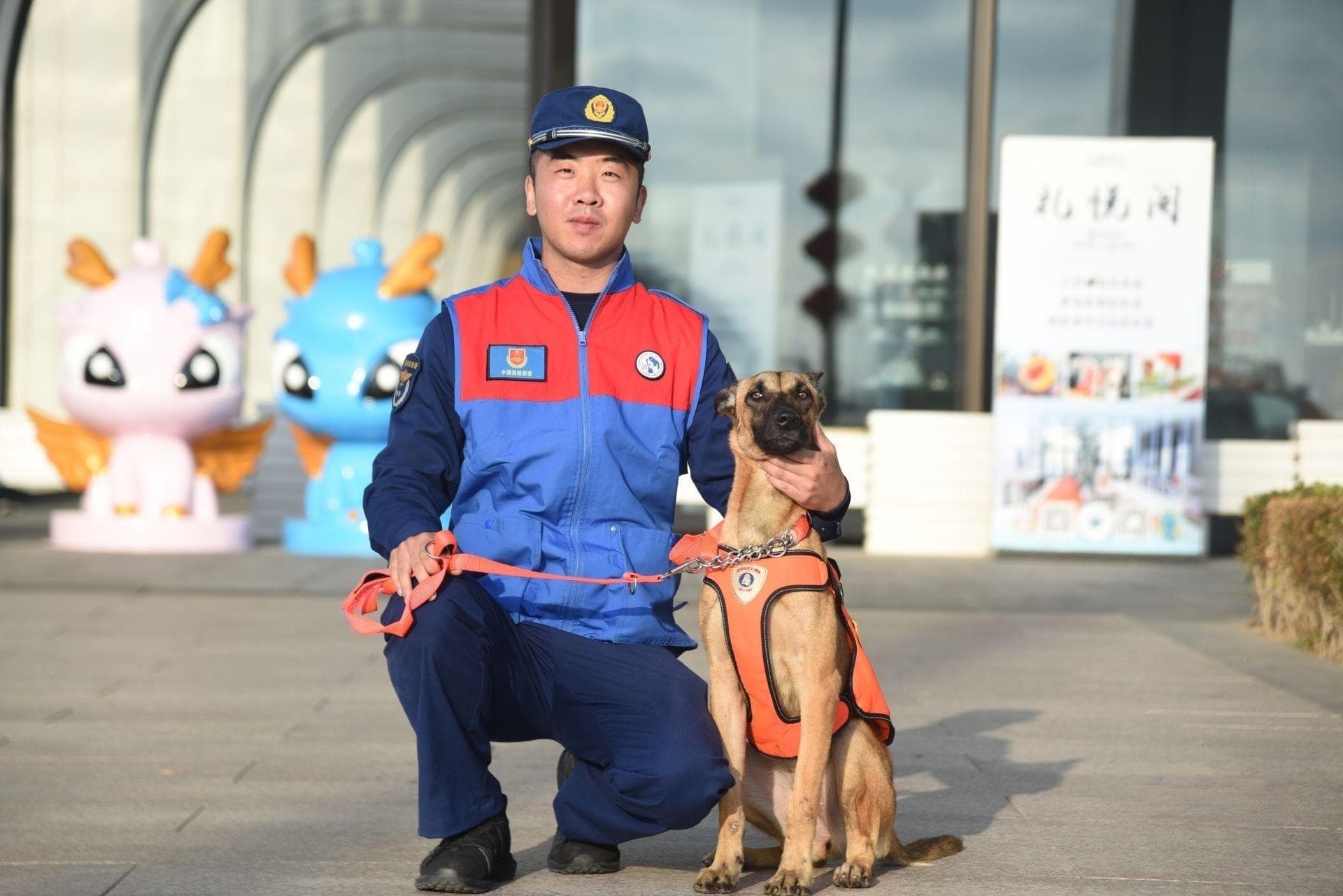 从捡垃圾到火调搜救：青岛工作犬展现“超能力”