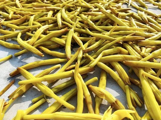 孕妇可以吃黄花菜吗？孕期黄花菜，健康美味两不误！