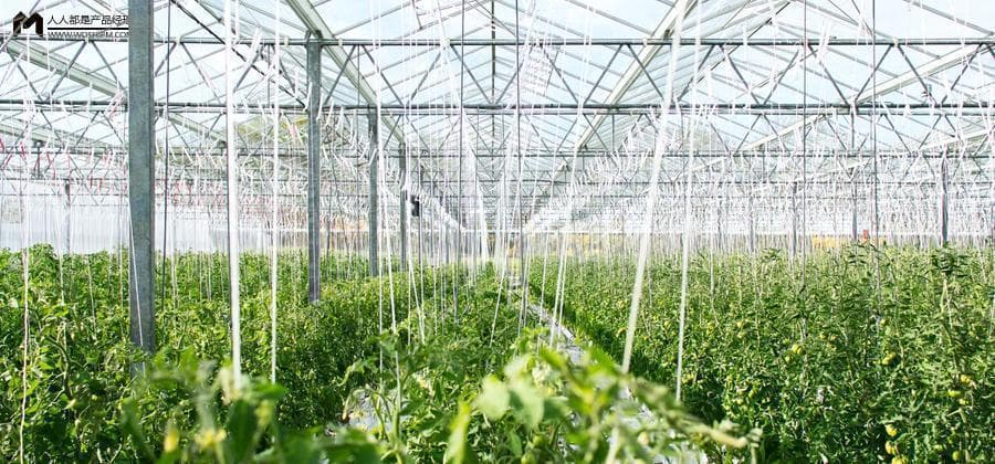 “互联网+”化的农业种植技术推广