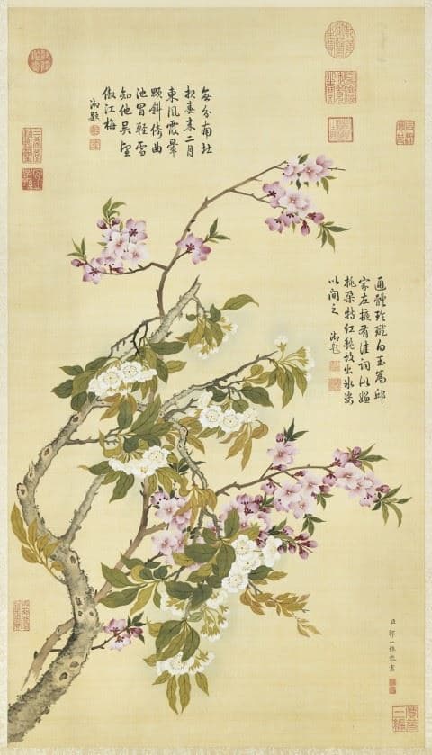 文人情怀与自然之思：赏析邹一桂《红桃白梨轴》