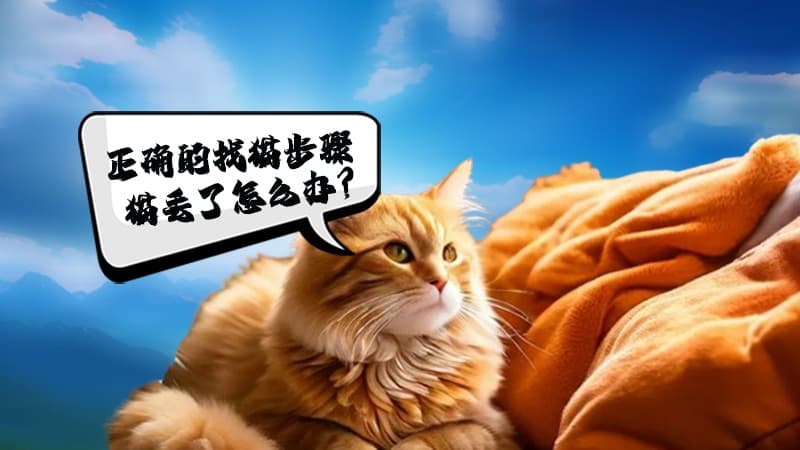 「宠物寻找」寻宠，猫丢了怎么办？宠物侦探教你寻找失踪猫的步骤