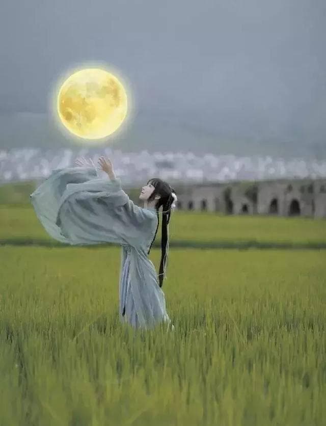 把酒问青天：探寻古人情怀与现代人生感悟