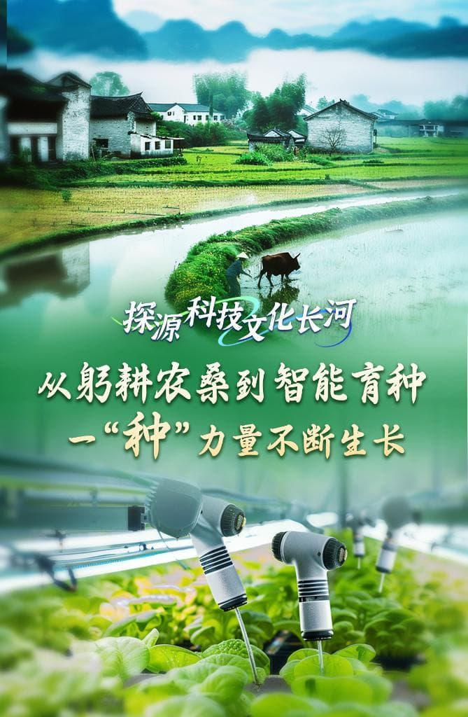 探源科技文化长河｜从躬耕农桑到智能育种，一“种”力量不断生长