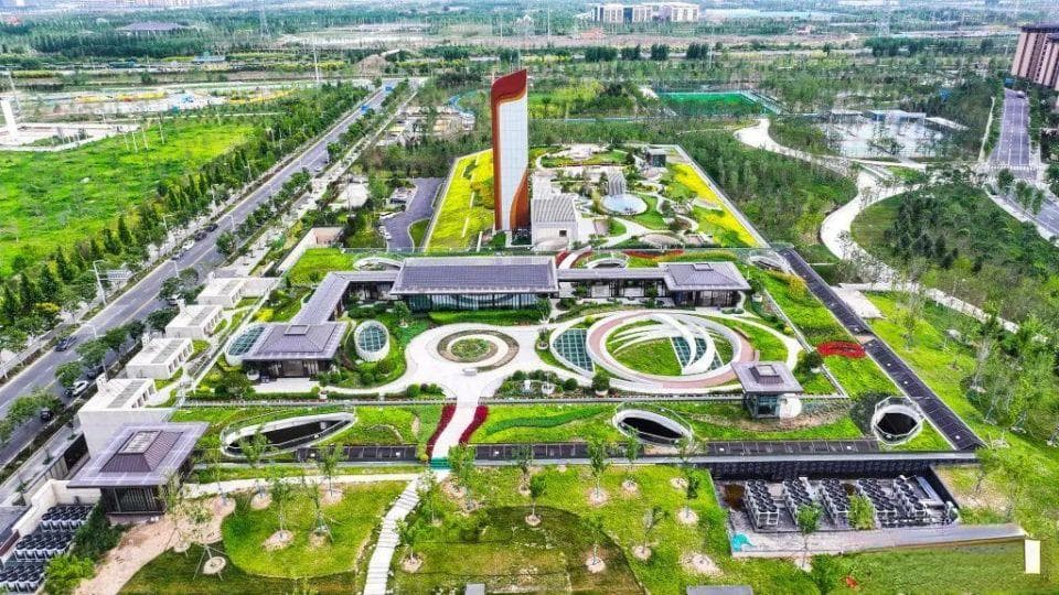 “一座新城的绿色答卷”：雄安“新绿”向未来