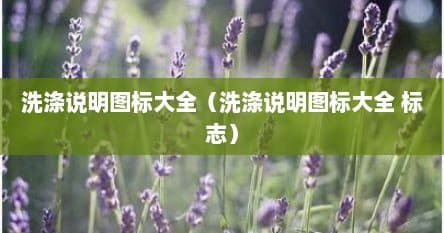 洗涤说明图标大全：洗衣机标志与衣物洗涤标签完全解读