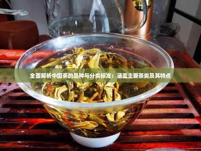 全面解析中国茶的品种与分类标准：涵盖主要茶类及其特点