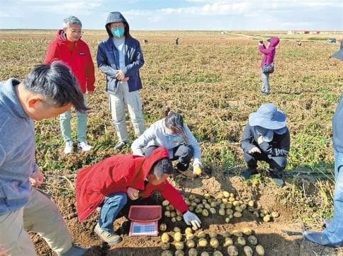 企业孵化器孕育科创“生力军”