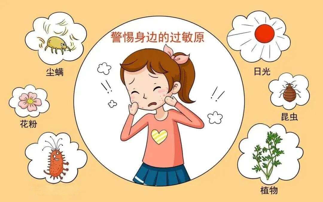 一味玉屏风，能治5种过敏病，一文总结