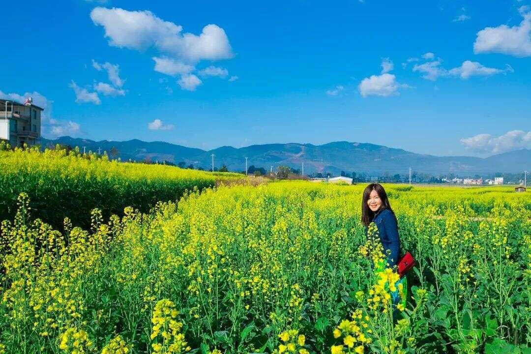 DeepSeek评“中国最适合养老的城市”，万万没想到竟是这座城