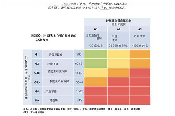 慢性肾脏病防治指南：从筛查到治疗的全流程管理