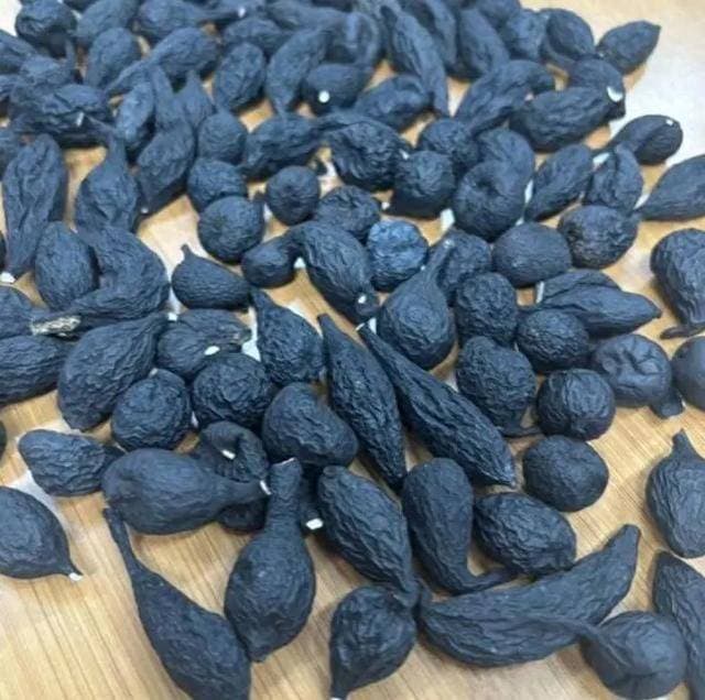 “菌界大熊猫”——乌灵参，究竟有何特别之处？