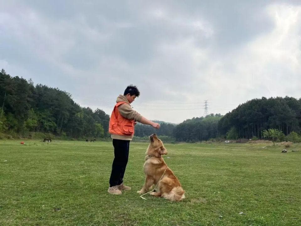 “毛孩子”也要上学？宠物驯导师在贵阳悄然走红