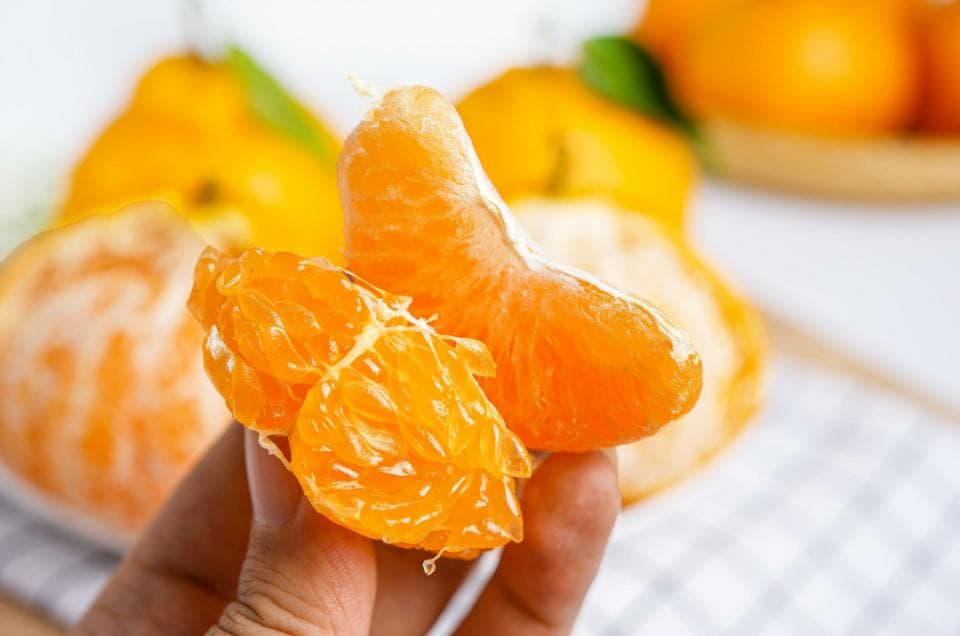 为什么说耙耙柑是“最善良”的水果？