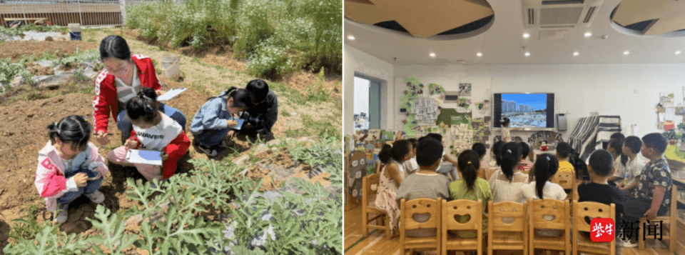南京五所学校获国际“绿旗”认证