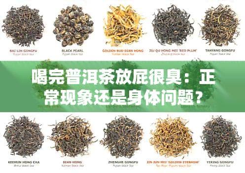 喝完普洱茶放屁很臭：正常现象还是身体疑问？