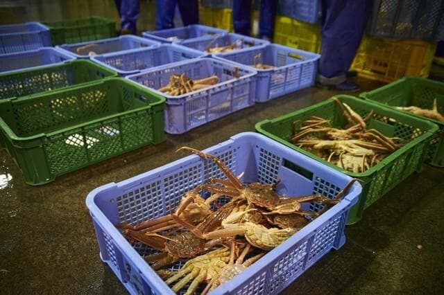 死螃蟹不能吃？超市冰冻螃蟹的安全真相