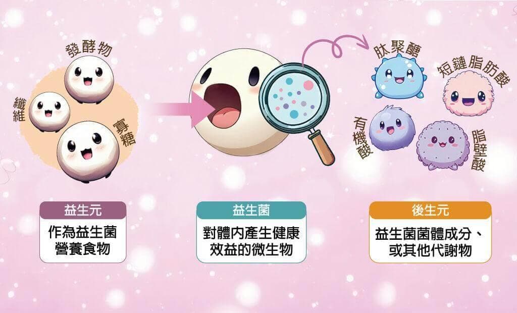 益生菌、益生元、后生元关系详解：一张图帮你快速解答！
