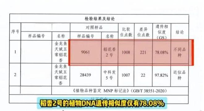年产量仅70万吨，五常大米市场90%为假冒产品