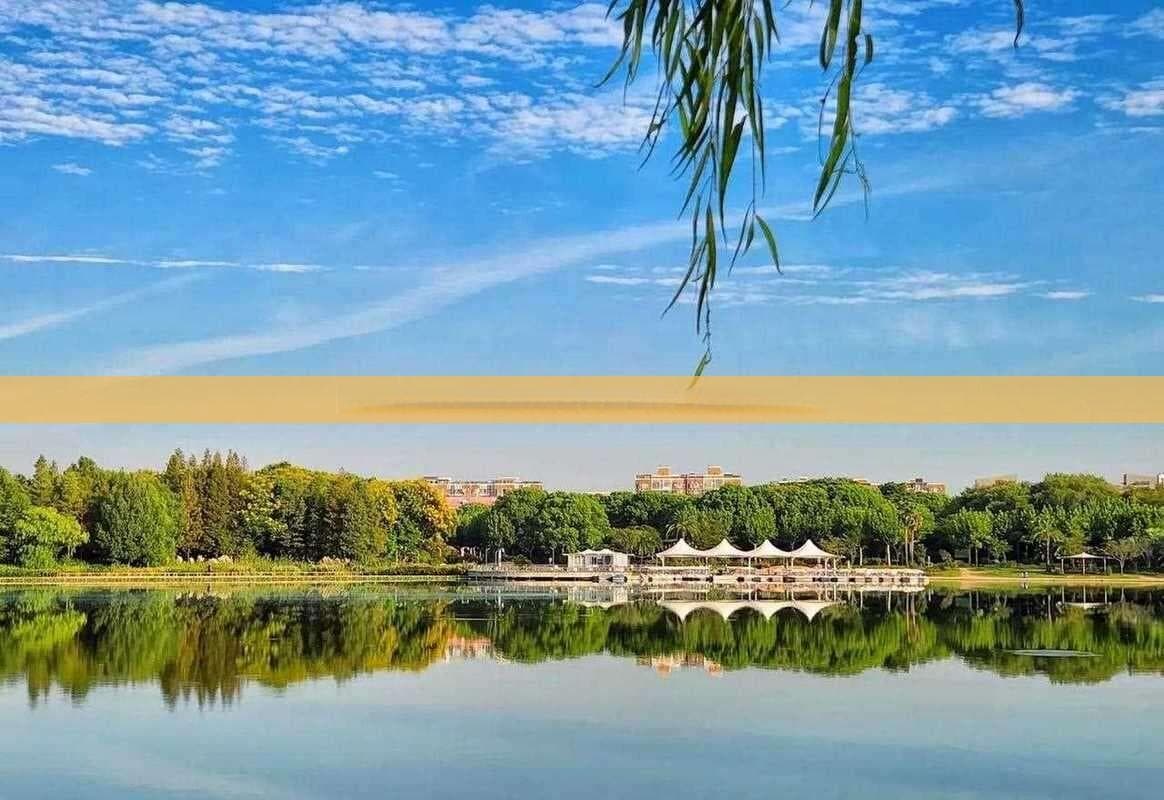 重庆渣滓洞完整交通指南：多种出行方式详解与更优路线推荐