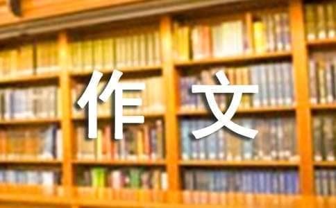 我和黑猫警长过一天