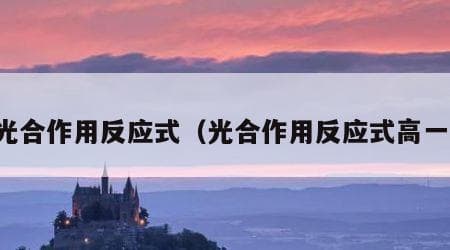 光合作用反应式（光合作用反应式高一）