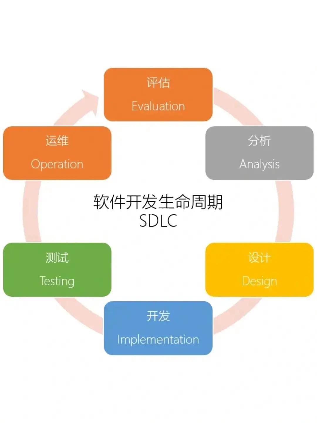 软件开发入门：从生命周期到版本控制
