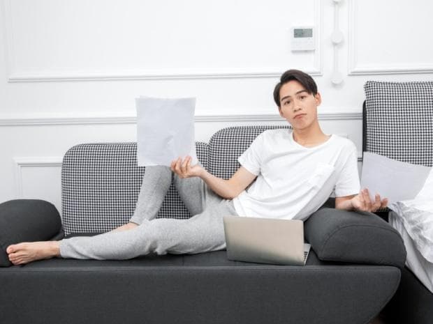 北美冬青适合在室内养吗？如何让家居更自然