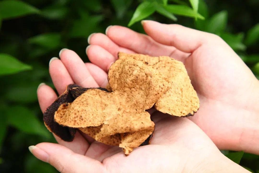 新会陈皮真假难辨？一文教你掌握鉴别技巧