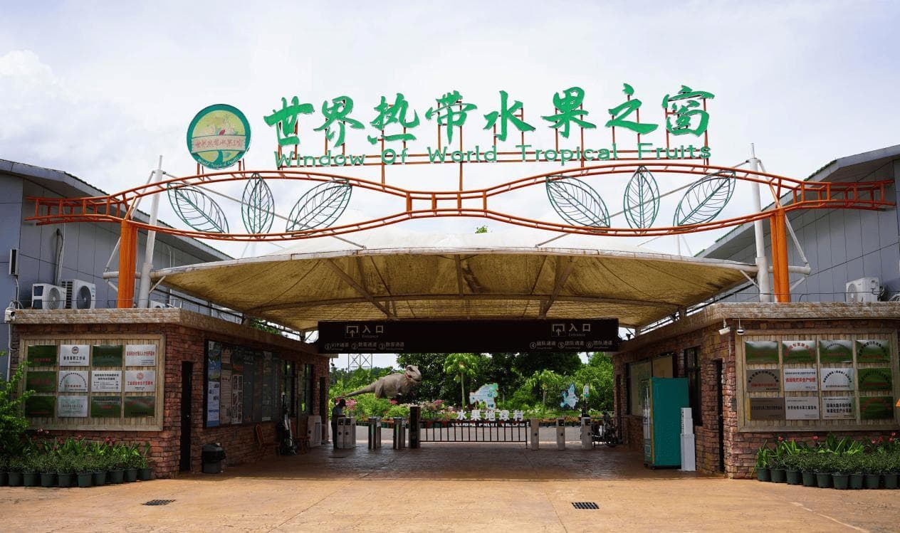 海南环岛旅游公路“旅游+”业态多元、精彩不断