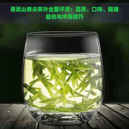 易武山春尖茶叶全面评测：品质、口味、健康益处与冲泡技巧
