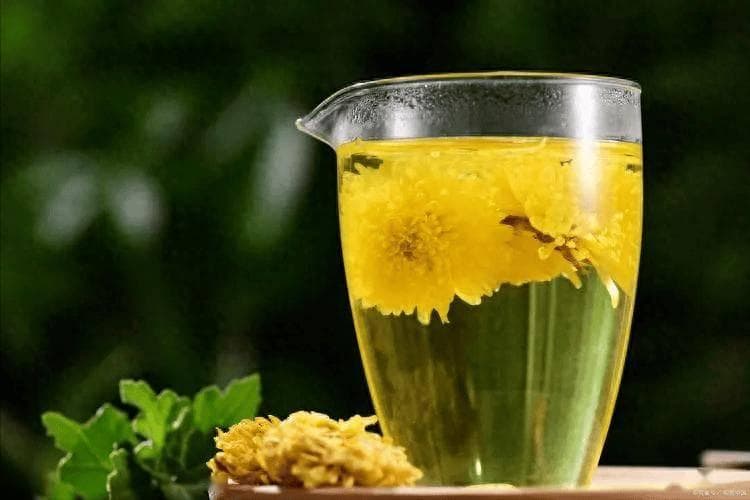 菊花茶可以每天喝吗？长期喝菊花茶，身体会怎么样？医生说出答案