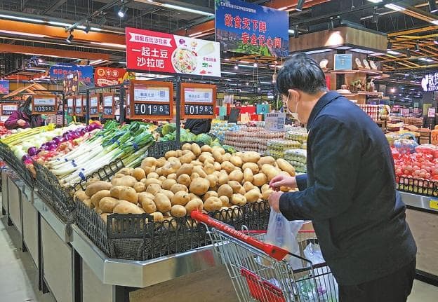 “跨界”蔬菜土豆 发芽为何不能吃？