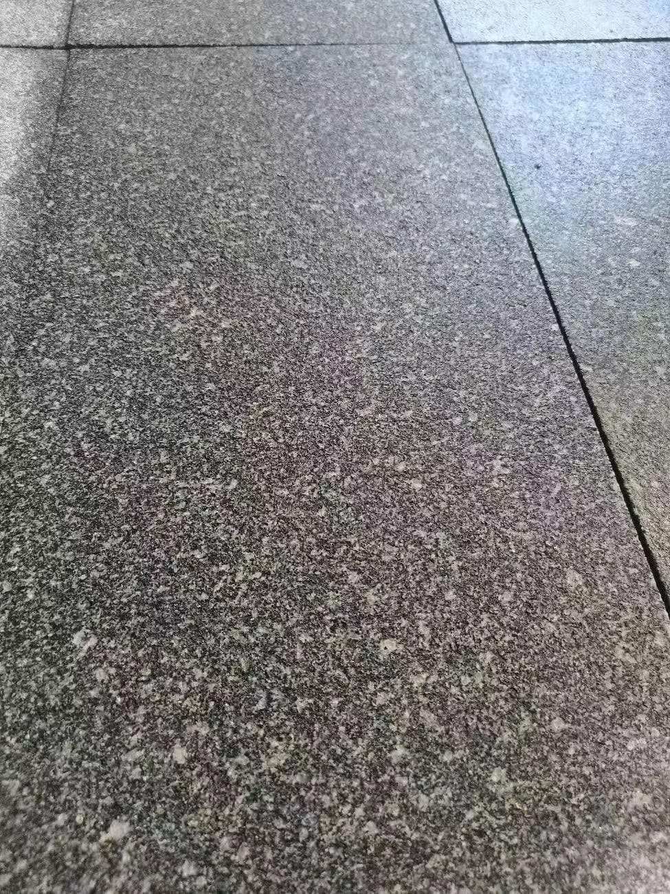 熟黑芝麻和黑生芝麻的区别