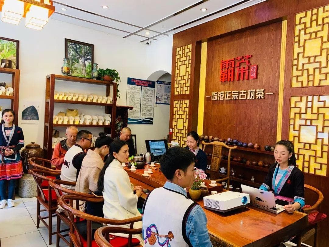 古树普洱生茶冲泡技巧及方法
