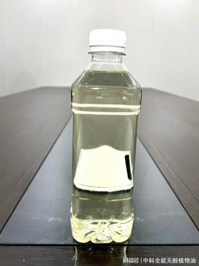 植物油燃料：替代液化气的安全节能选择
