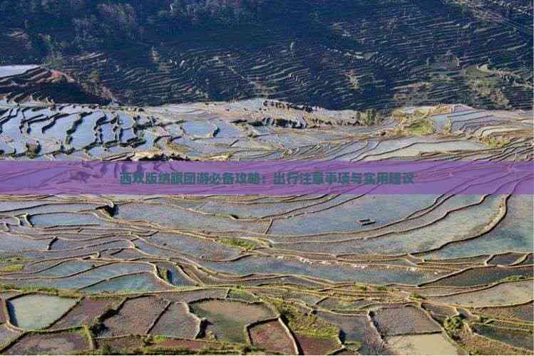 西双版纳跟团游必备攻略：出行注意事项与实用建议