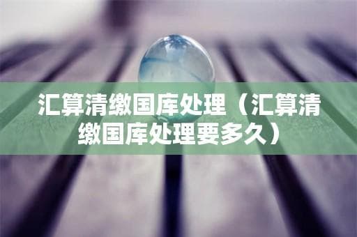 个人所得税汇算清缴中的国库处理：含义、时间及查询方法