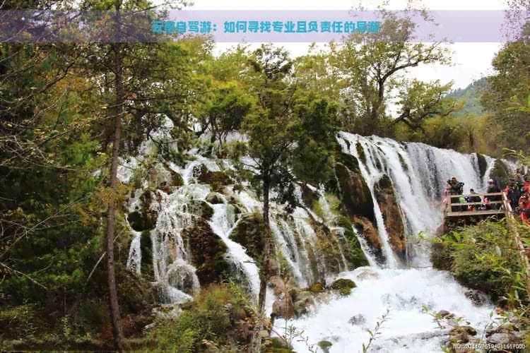 云南自驾游：如何寻找专业且负责任的导游