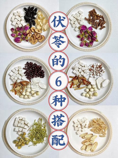 家里茯苓放了两年还能喝吗（中药放了一年还能吃吗）