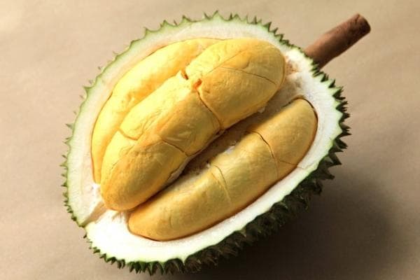 小孩子能不能吃榴莲？吃榴莲会导致性早熟吗？
