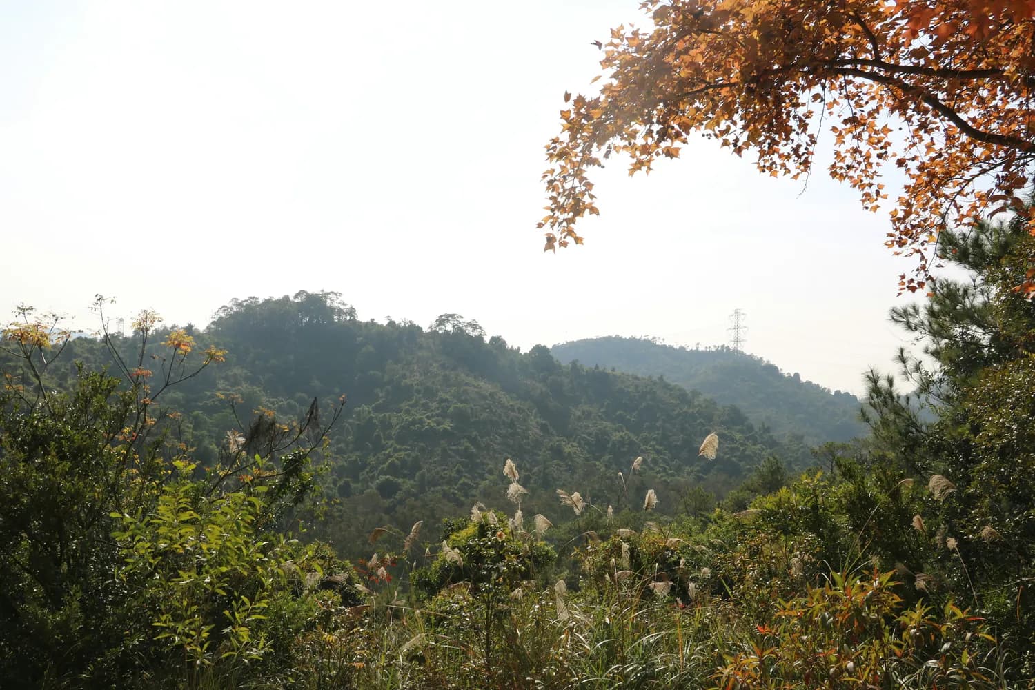 梧州白云山：秋日休闲打卡胜地