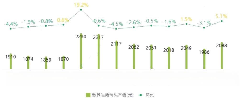2024年生猪养殖市场前景分析：全国散养生猪每头产值波动至2088元