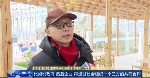 上海为流浪动物“上医保”，已有近700只获益