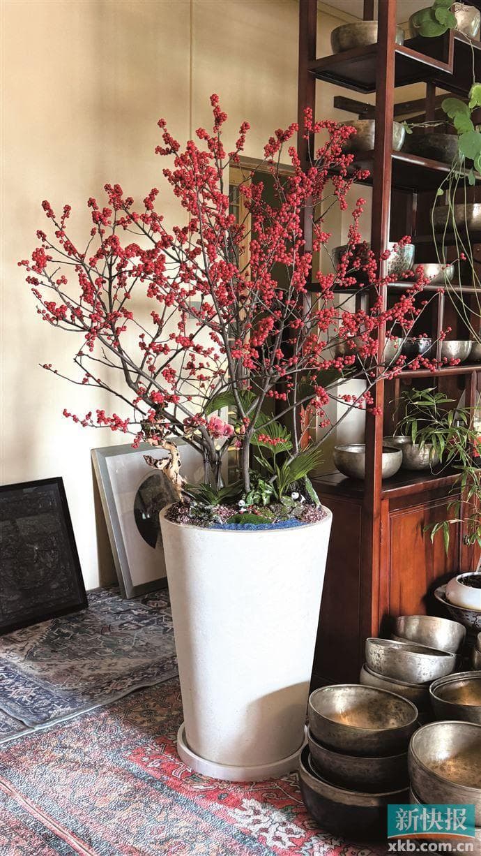 直播间买花省时省力 逛花市更像过年仪式