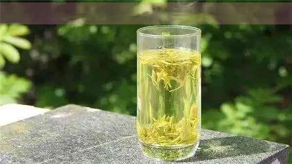 普洱茶完整发酵工艺解析：一次发酵与二次发酵全流程详解