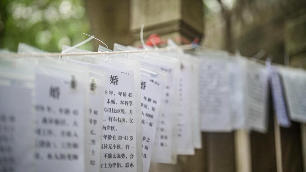 重庆人民公园“相亲角”：不同年龄群体的寻爱故事