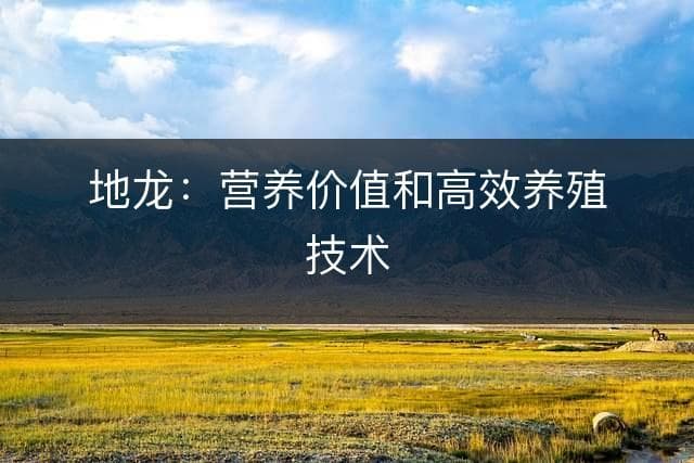 市场需求旺盛，地龙养殖技术实现突破性发展