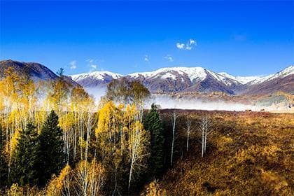 大运流年出现寅申巳亥怎么办